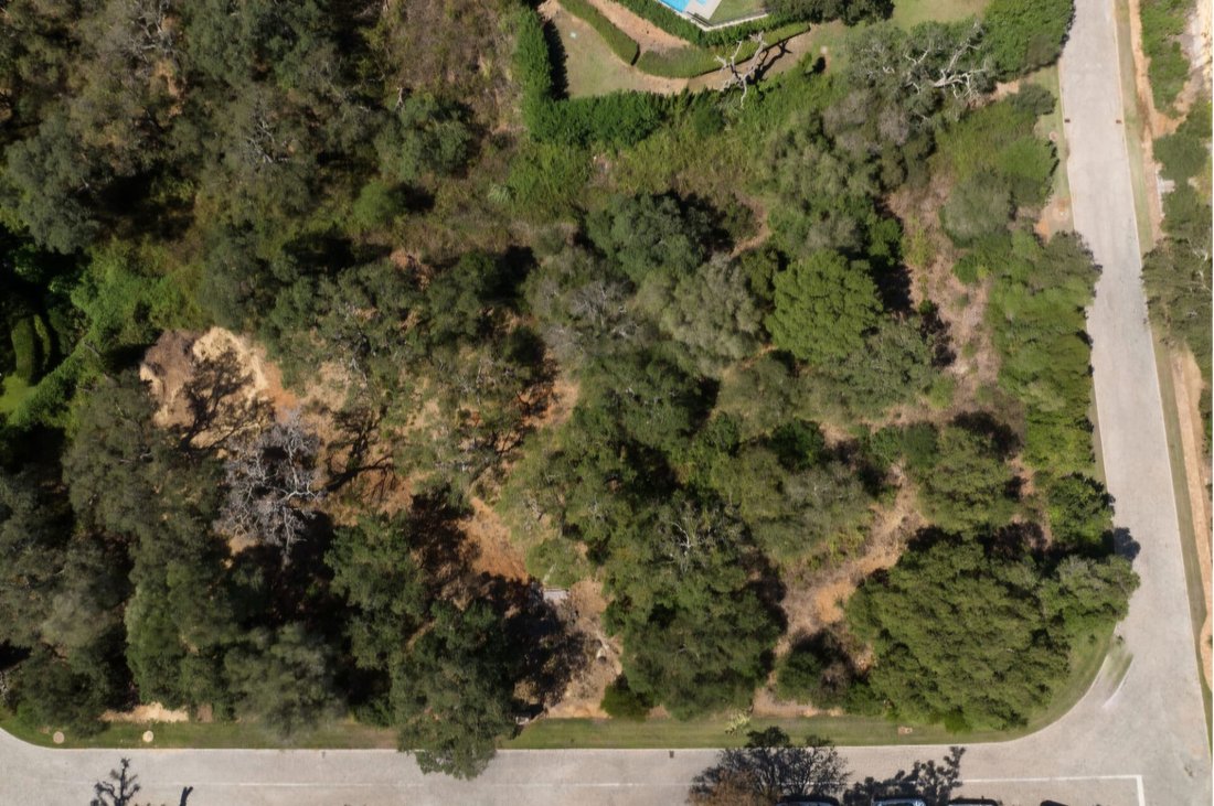 Land in Sotogrande, San Roque, Andalusia 2 - 15857806