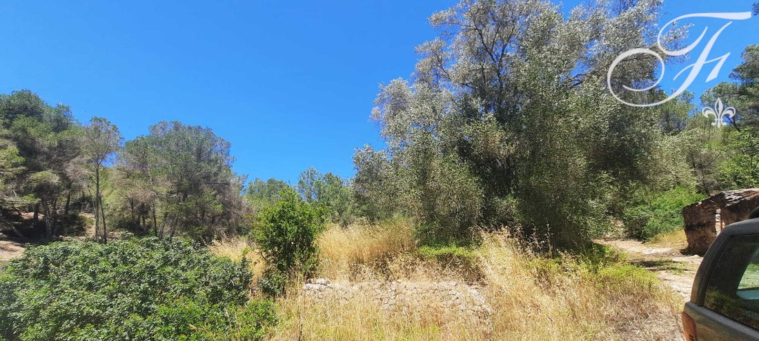 Land in Sant Josep de sa Talaia, Balearic Islands, Spain 4 - 18023259