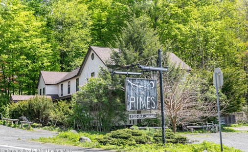 House in Mount Tremper, New York, United States 1