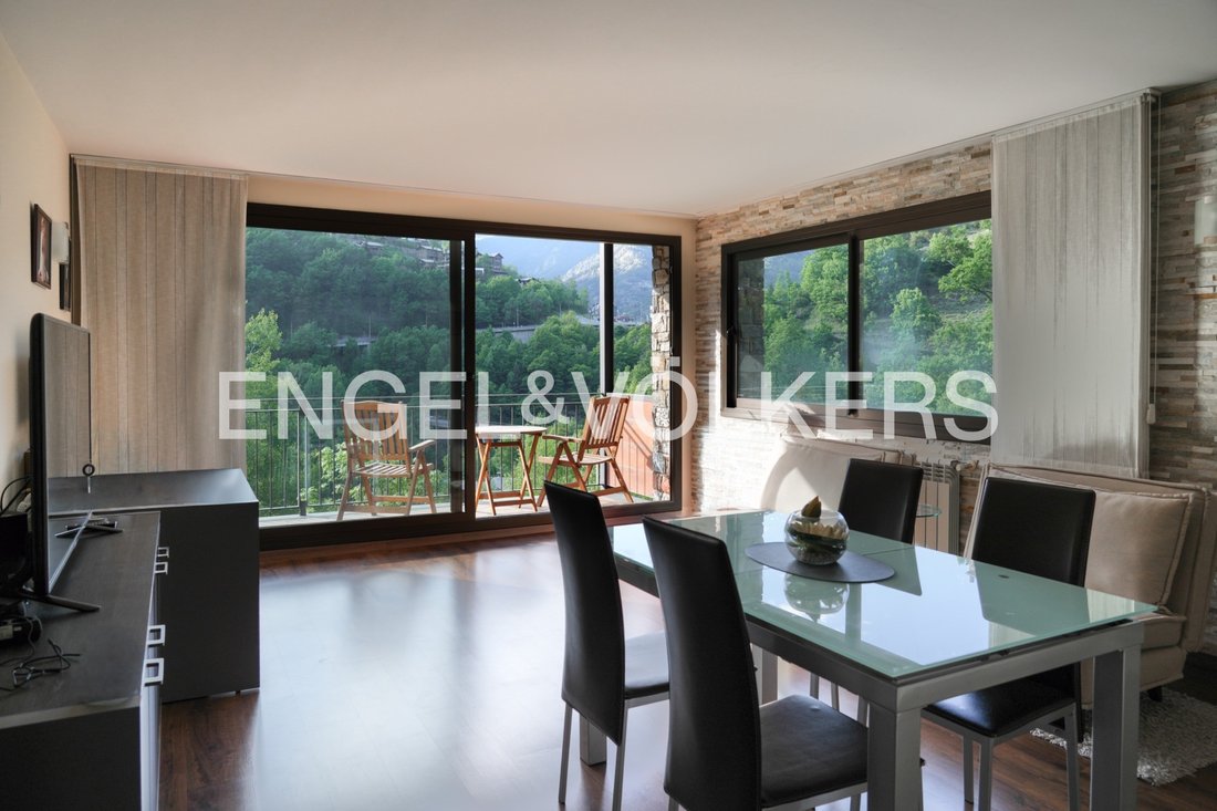 Apartment in La Massana, La Massana, Andorra 2 - 18023782