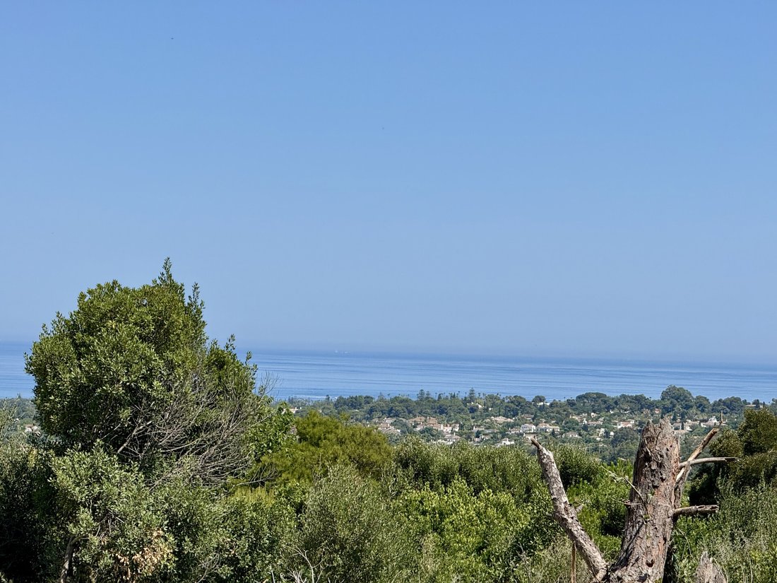 Land in Sotogrande, San Roque, Andalusia 1 - 15857804