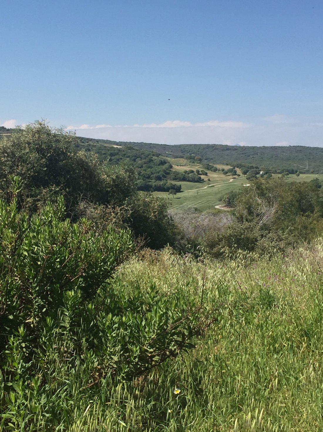 Land in Sotogrande, San Roque, Andalusia 5 - 12474307
