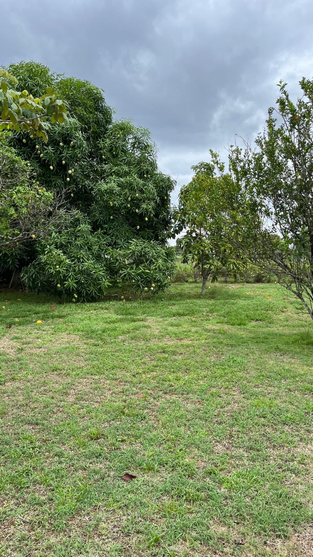 Finca in Ocú, Herrera Province, Panama 3 - 18023577