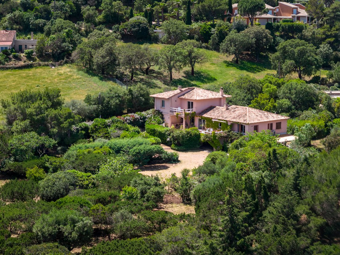 House in Porto-Vecchio, Corsica, France 4 - 16474004
