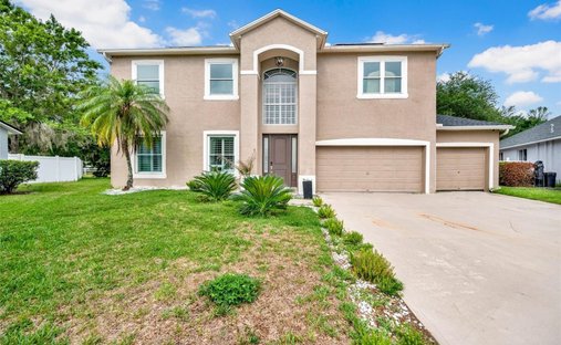 House in Land O' Lakes, Florida, United States 1