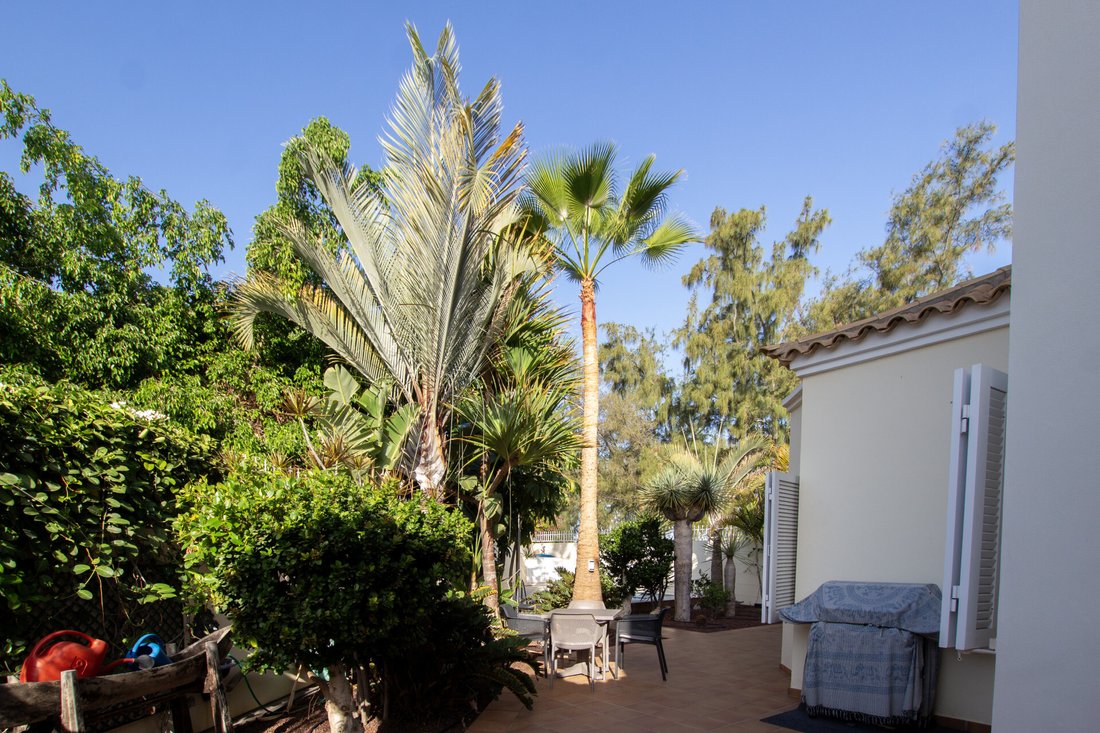 Villa in Playa de las Americas, Canary Islands, Spain 3 - 15434411