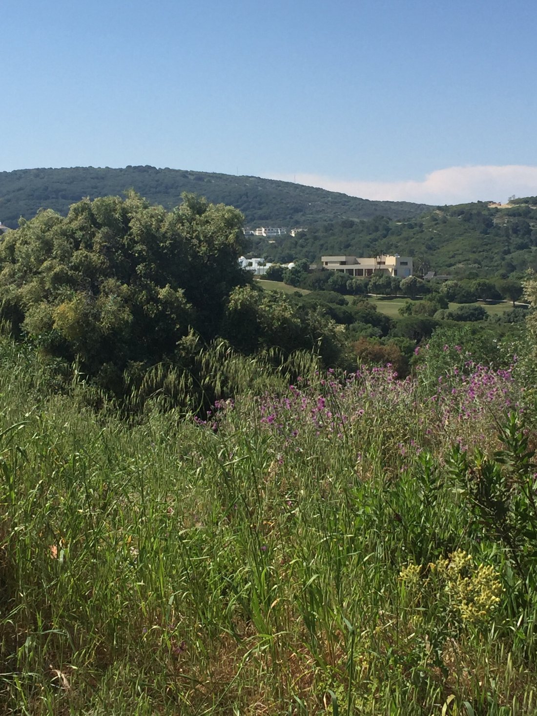 Land in Sotogrande, San Roque, Andalusia 4 - 12474307