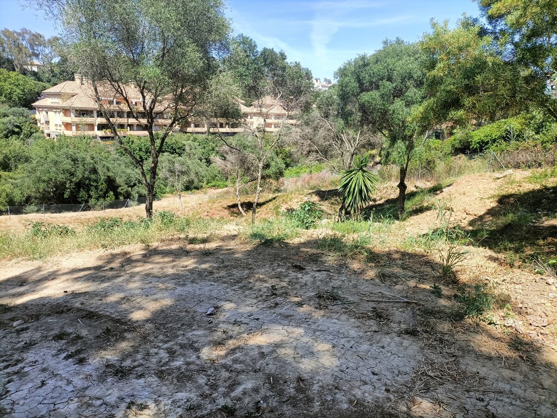 Land in Sotogrande, San Roque, Andalusia 4 - 17554980