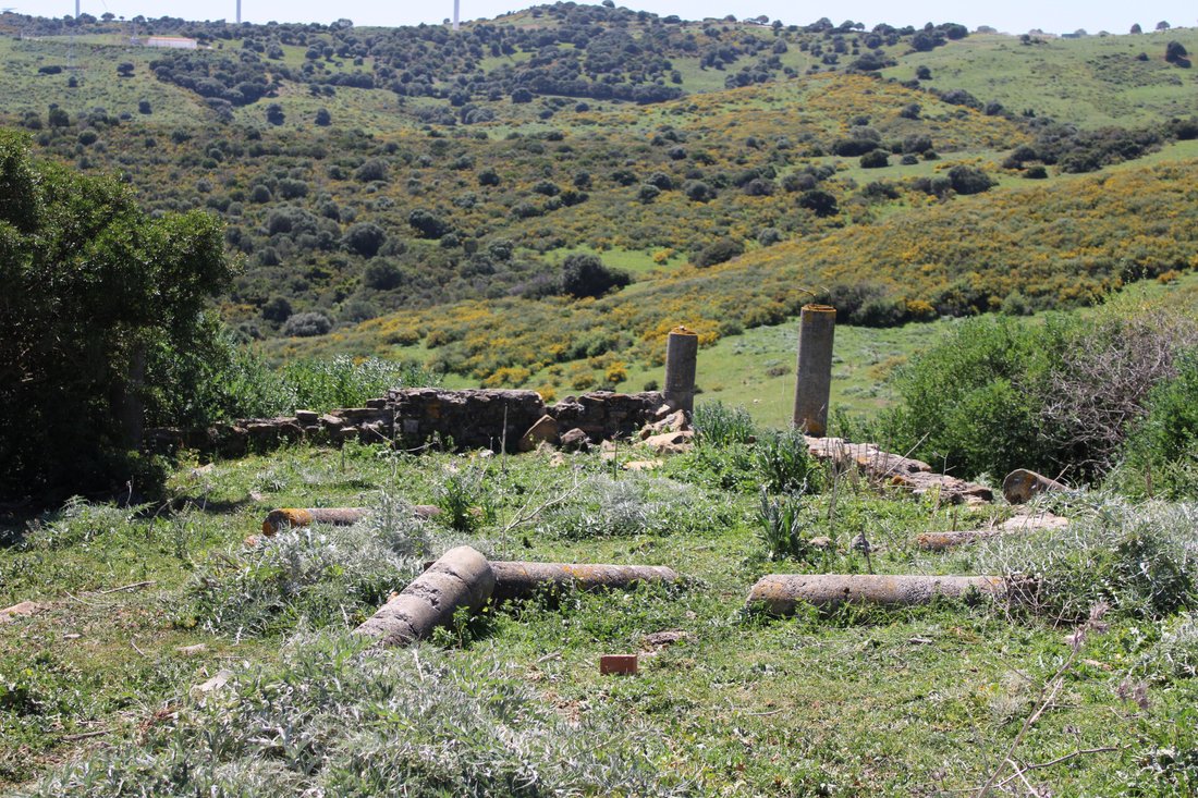 Land in San Martin del Tesorillo, Andalusia, Spain 2 - 15539531