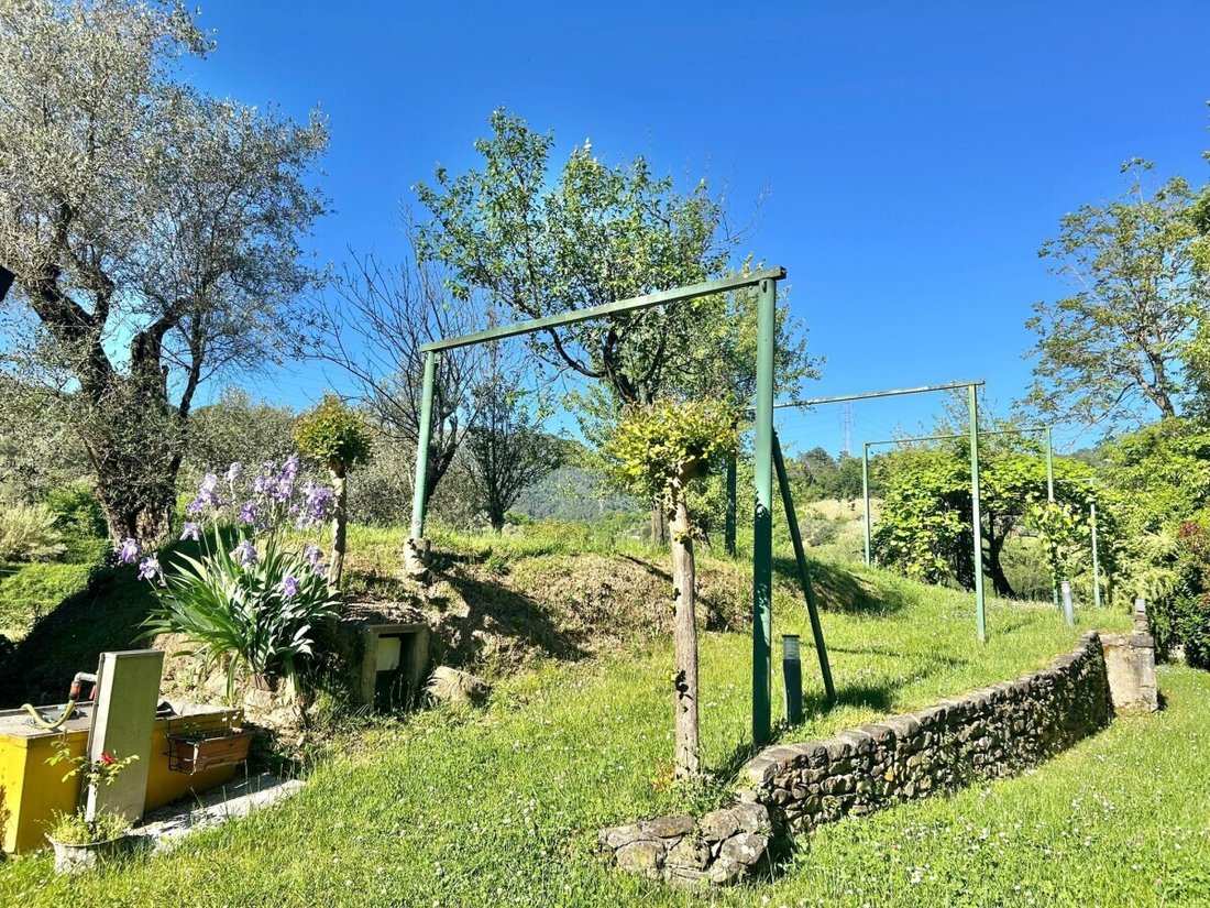 House in Center, Sarzana, Liguria 4 - 18022609