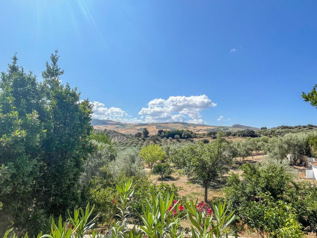 Finca in Antequera, Andalusien, Spanien 5 - 12926254