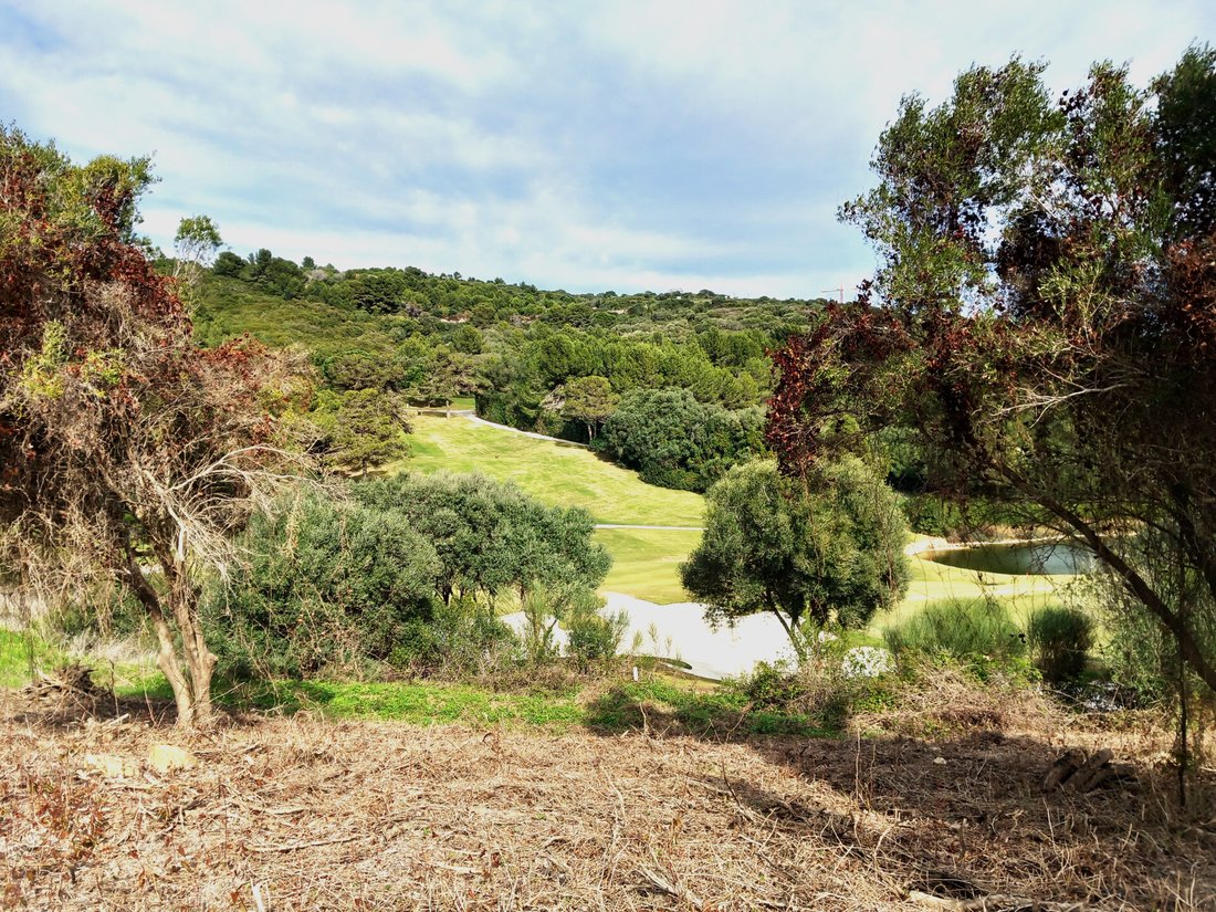 Terrain à Sotogrande, San Roque, Andalousie 1 - 12507455