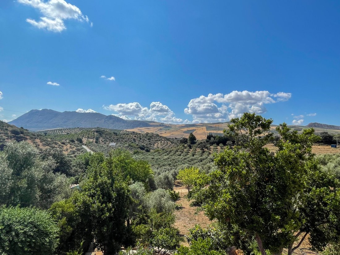 Finca in Antequera, Andalusien, Spanien 4 - 12926254