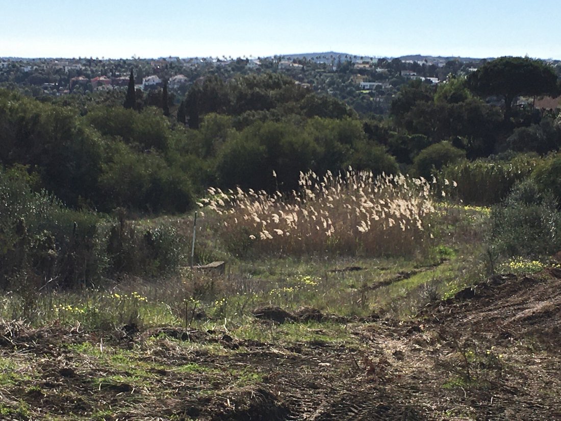 Land in Sotogrande, San Roque, Andalusia 4 - 12499307