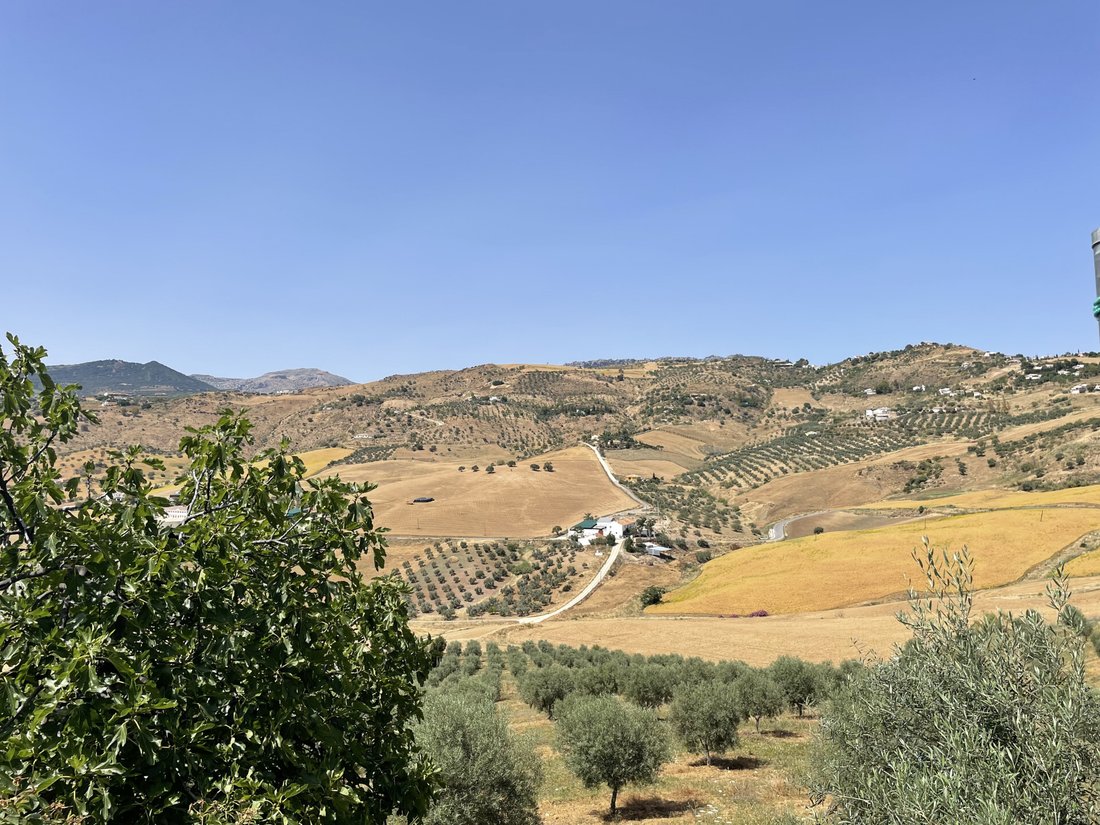 Casa de Campo en Villanueva de la Concepción, Andalucía, España 4 - 11522992