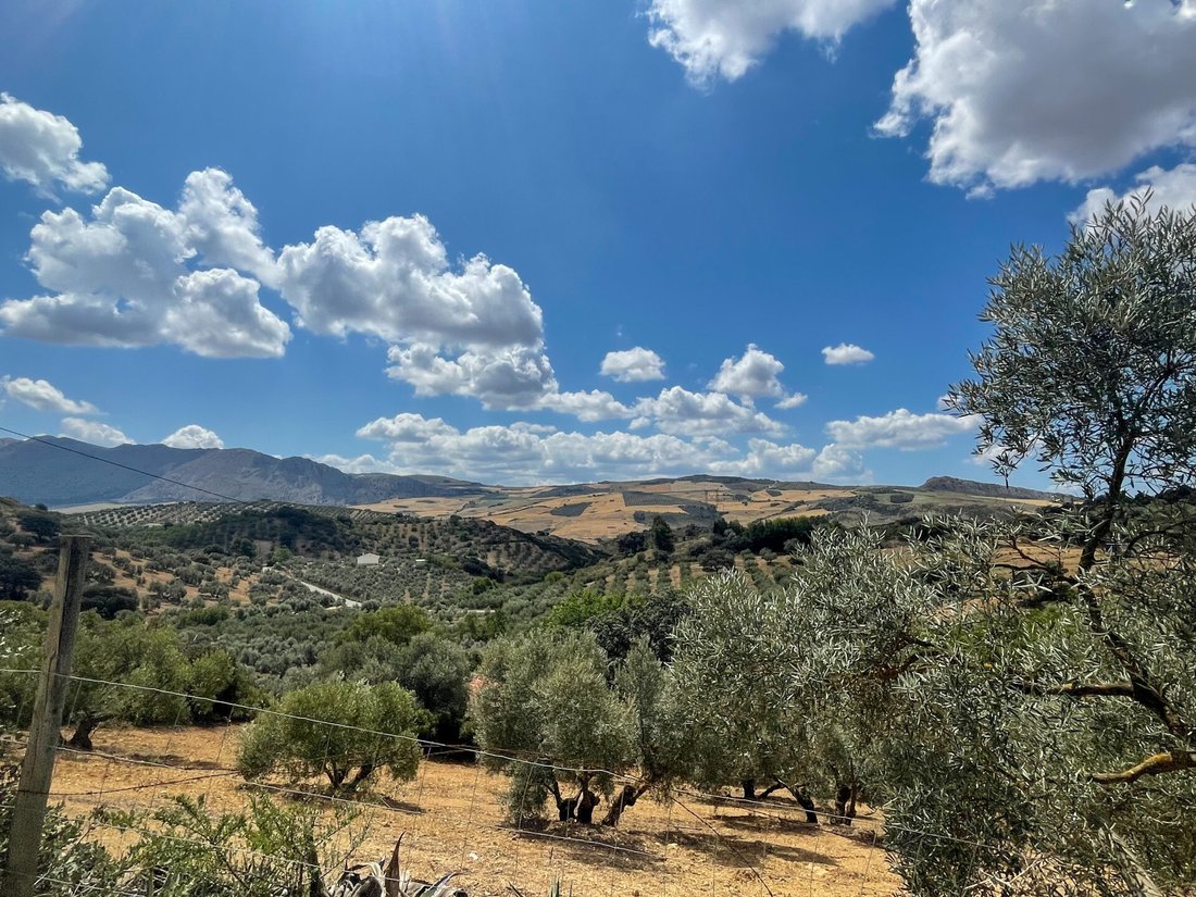 Finca in Antequera, Andalusia, Spain 4 - 12926254