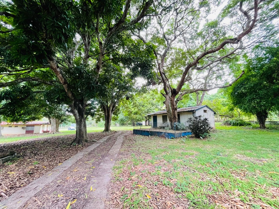 Land in Gamboa, Colón Province, Panama 2 - 18023863