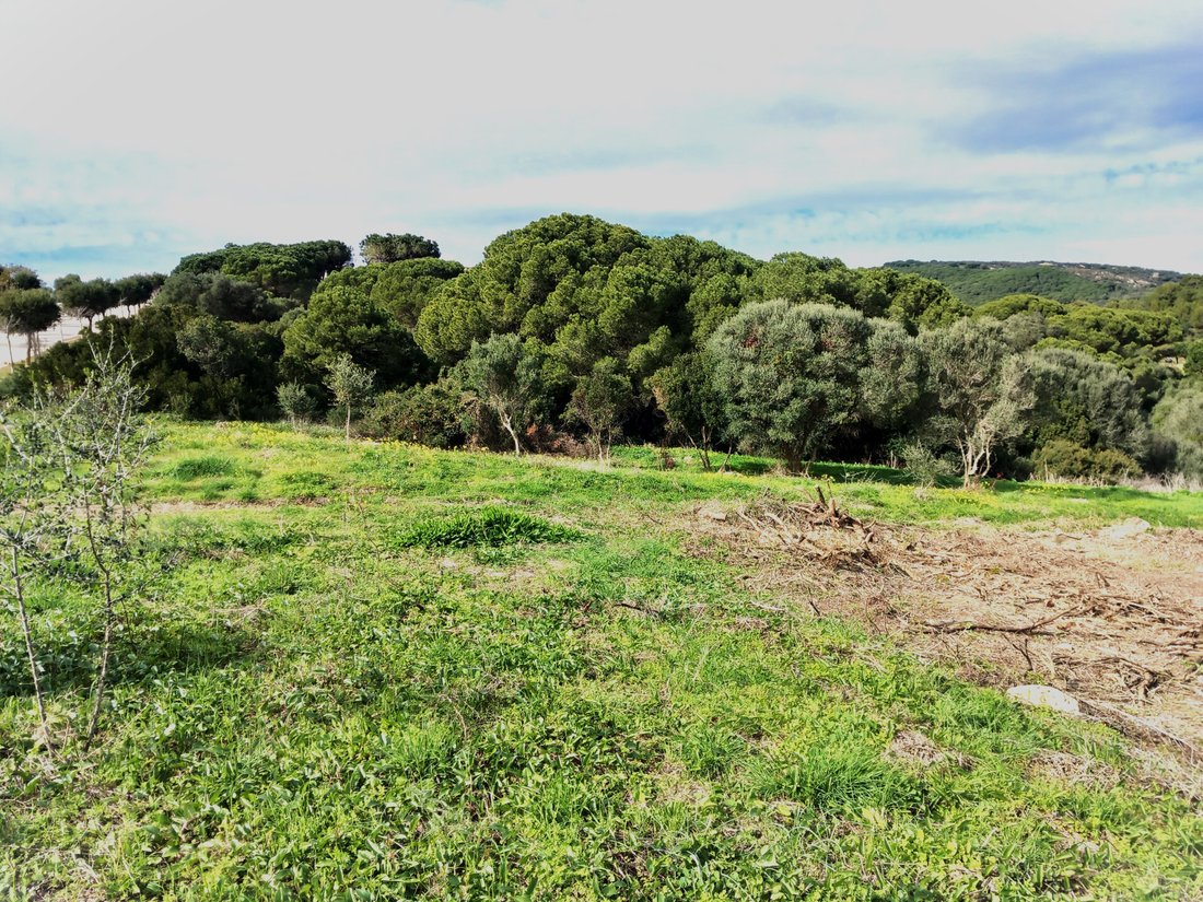 Terrain à Sotogrande, San Roque, Andalousie 4 - 12507455