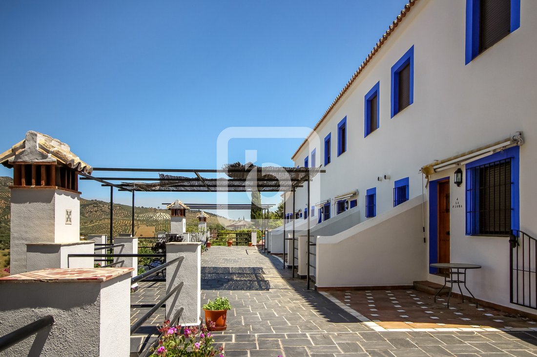 Guaro, Andalusia, Spain 2 - 11438921