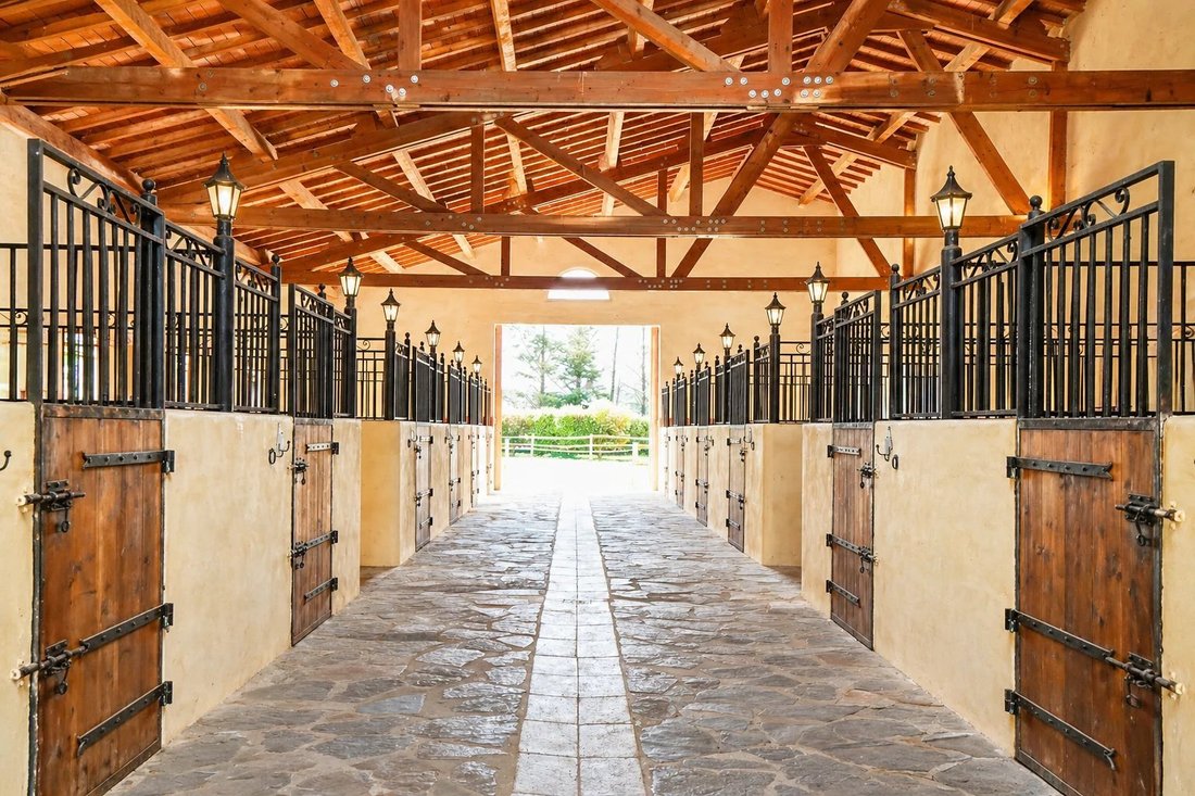 Estate in Mauguio, Occitania, France 5 - 18024585