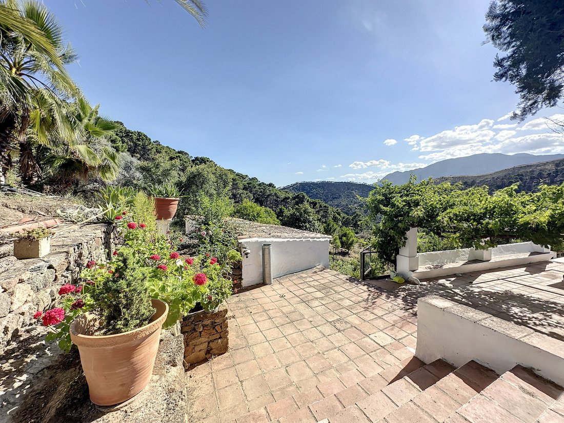 Finca in Estepona, Andalusia, Spain 2 - 12970709