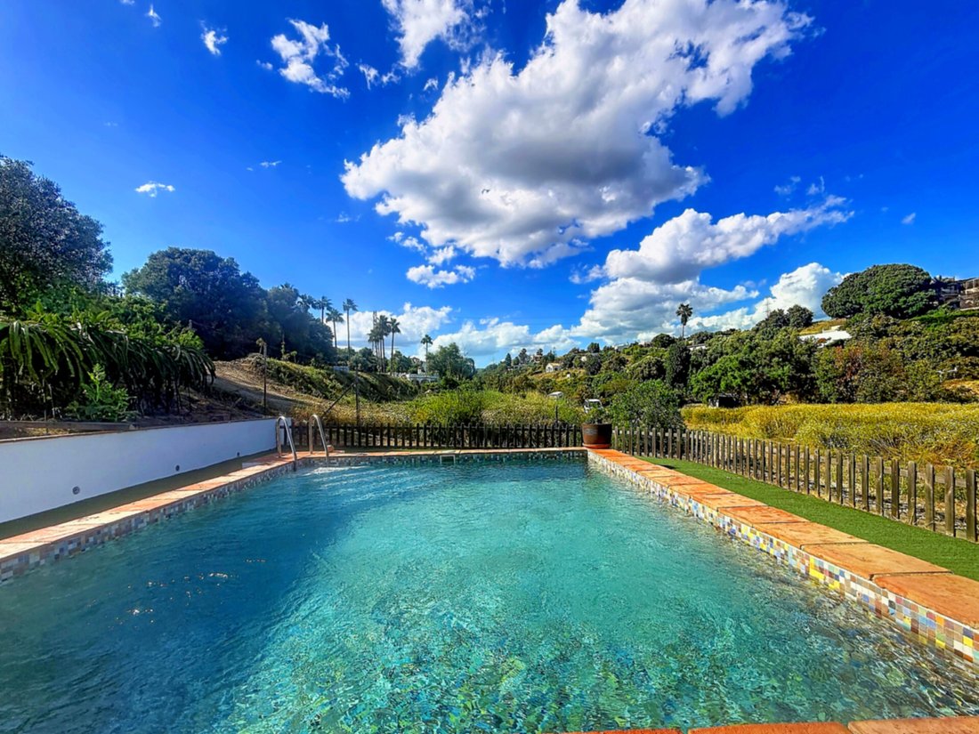 Finca in Estepona, Andalusia, Spain 2 - 17964390