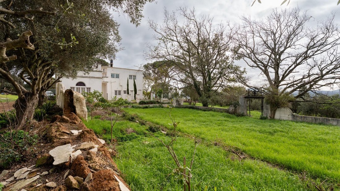 Farm Ranch in Stellenbosch, Western Cape, South Africa 3 - 18023955