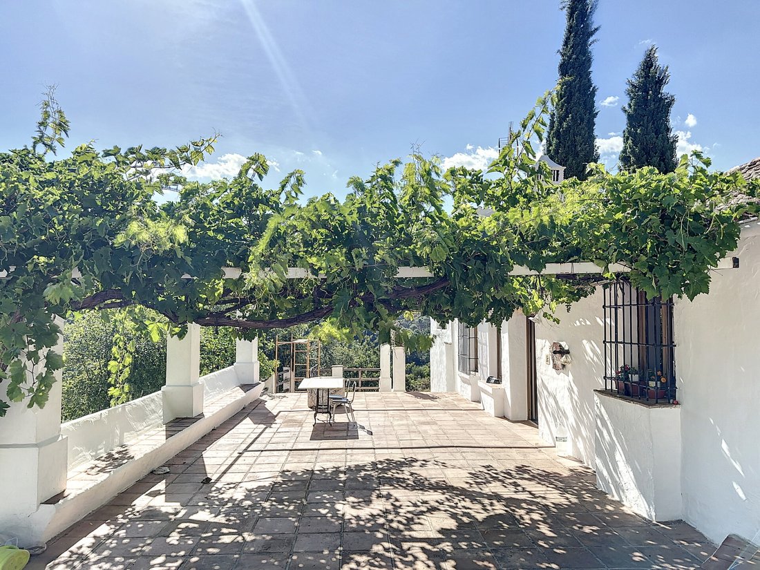 Finca in Estepona, Andalusia, Spain 1 - 12970709