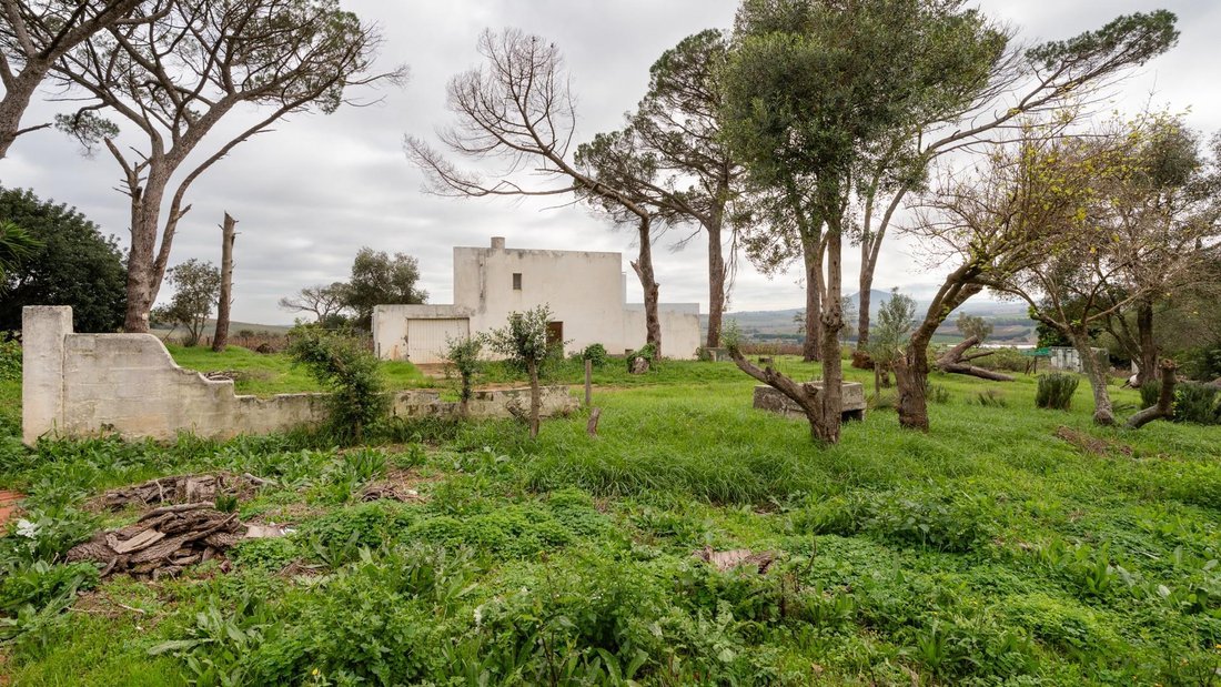 Farm Ranch in Stellenbosch, Western Cape, South Africa 5 - 18023955