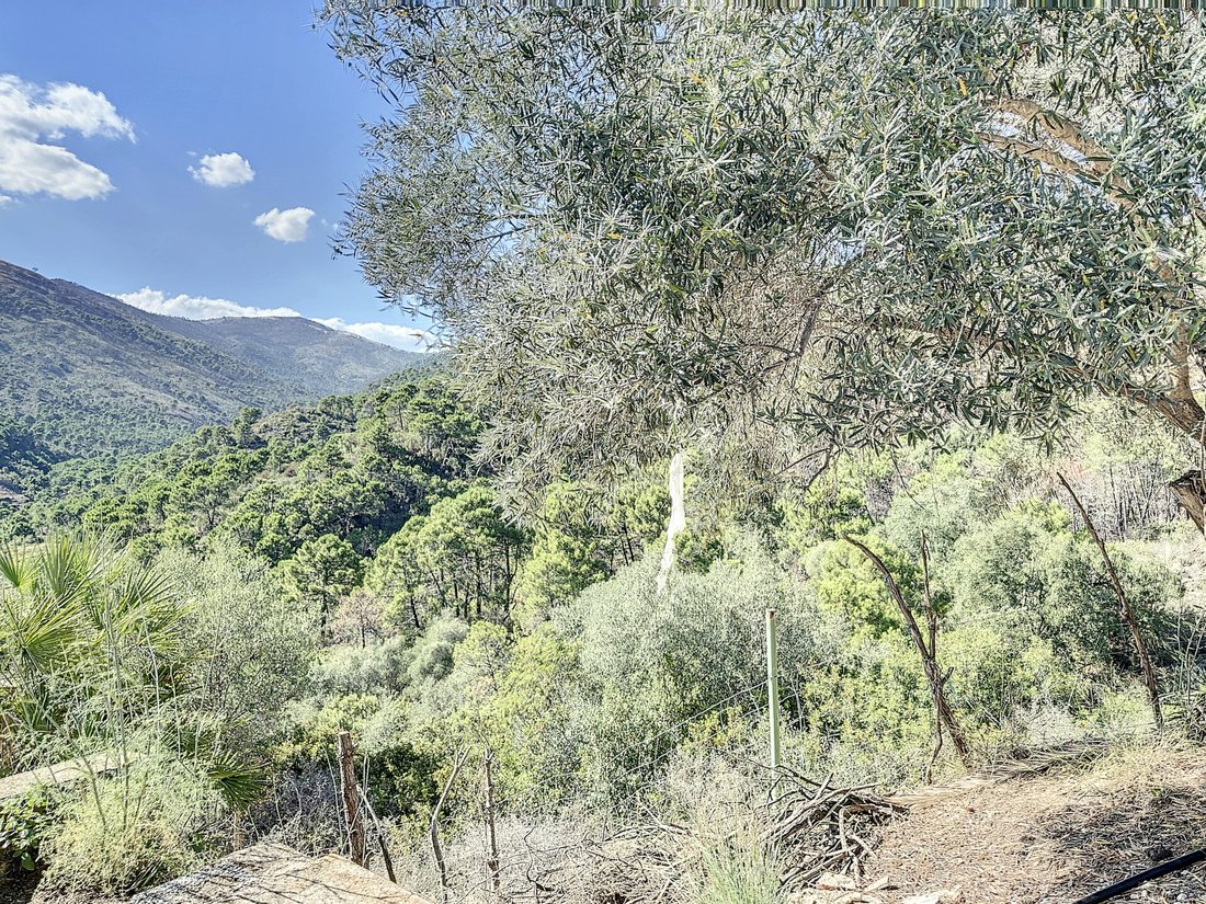 Finca in Estepona, Andalusia, Spain 5 - 12970709