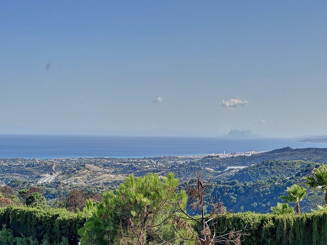 Finca in Estepona, Andalusia, Spain 3 - 12970709