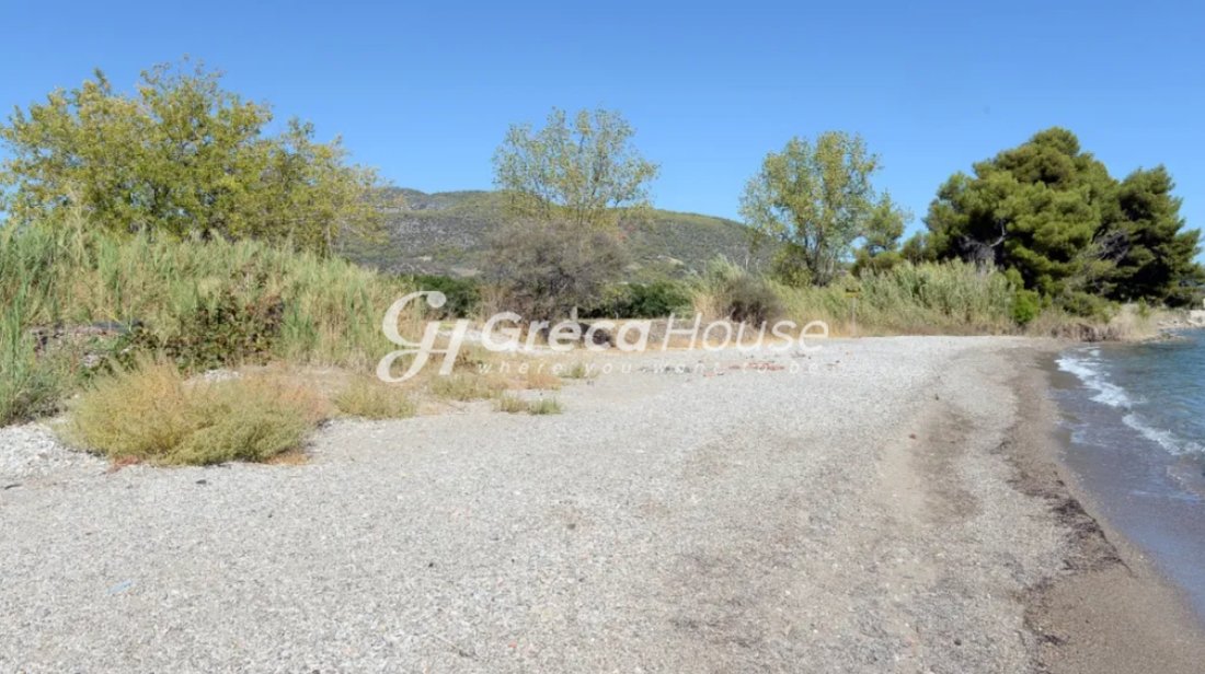 Land in Argolis, Peloponnese, Western Greece and the Ionian, Greece 5 - 18025287