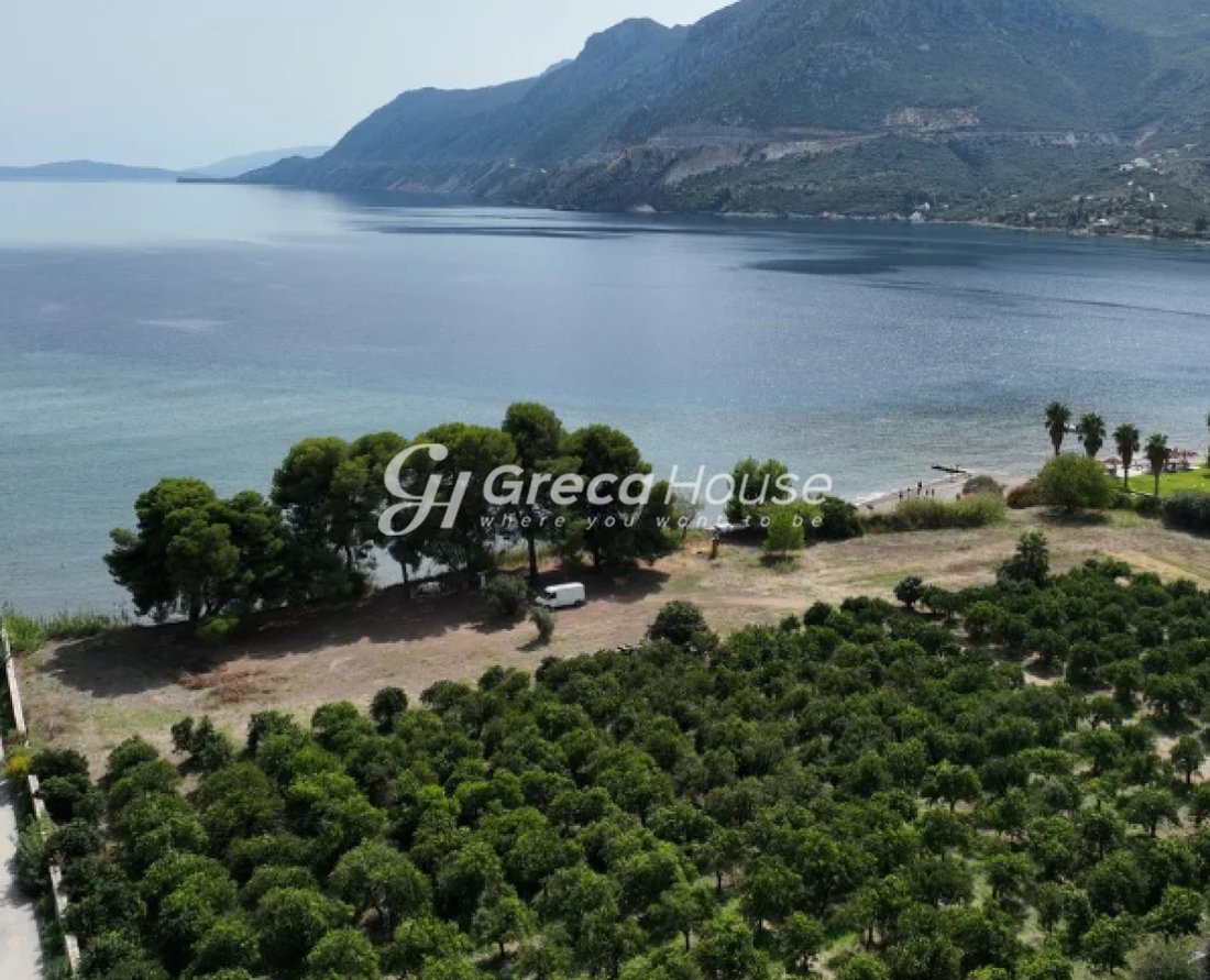 Land in Argolis, Peloponnese, Western Greece and the Ionian, Greece 1 - 18025287