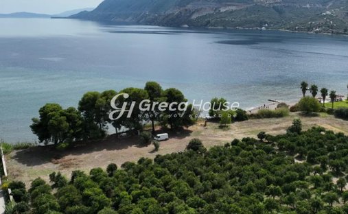 Terrain en Argolis, Peloponnese, Western Greece and the Ionian, Grèce 1