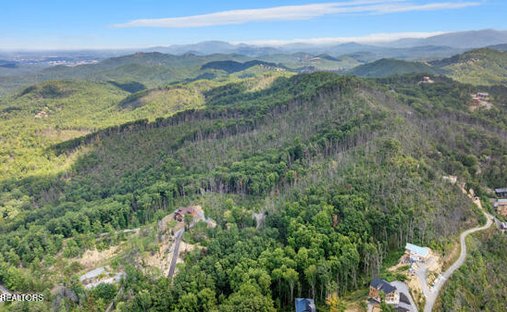 Terreno a Sevierville, Tennessee, Stati Uniti 1