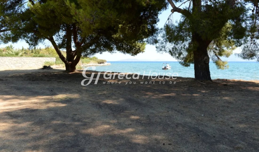 Land in Argolis, Peloponnese, Western Greece and the Ionian, Greece 4 - 18025287