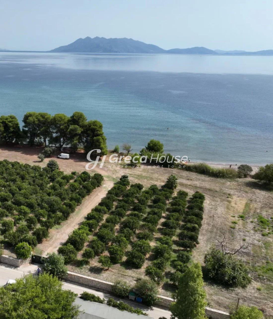 Land in Argolis, Peloponnese, Western Greece and the Ionian, Greece 3 - 18025287