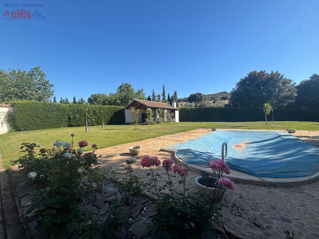 Farm Ranch in Ciudad Real, Castile-La Mancha, Spain 1 - 12836424
