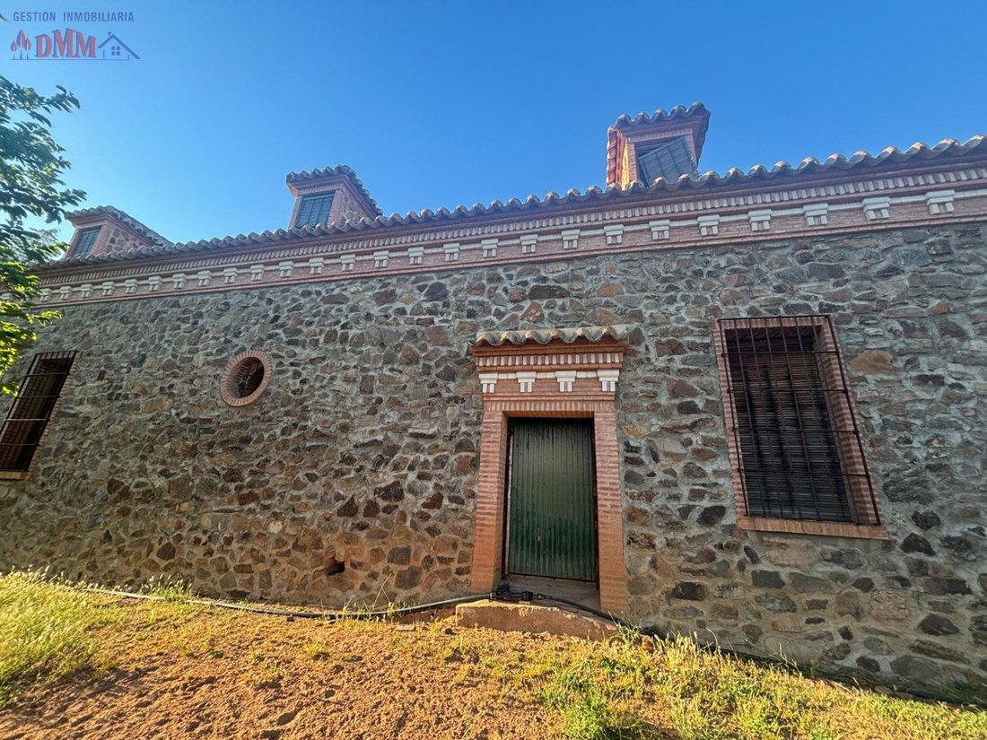 Farm Ranch in Ciudad Real, Castile-La Mancha, Spain 4 - 12836385