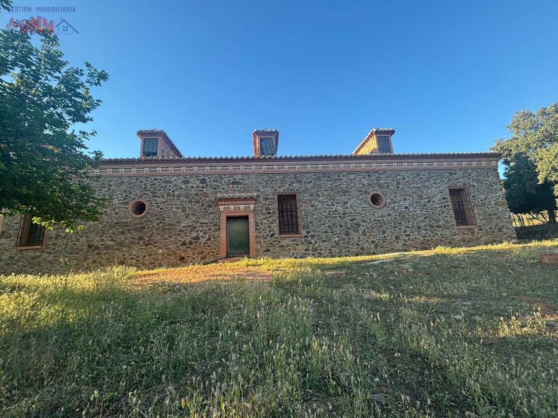 Farm Ranch in Ciudad Real, Castile-La Mancha, Spain 1 - 12836385