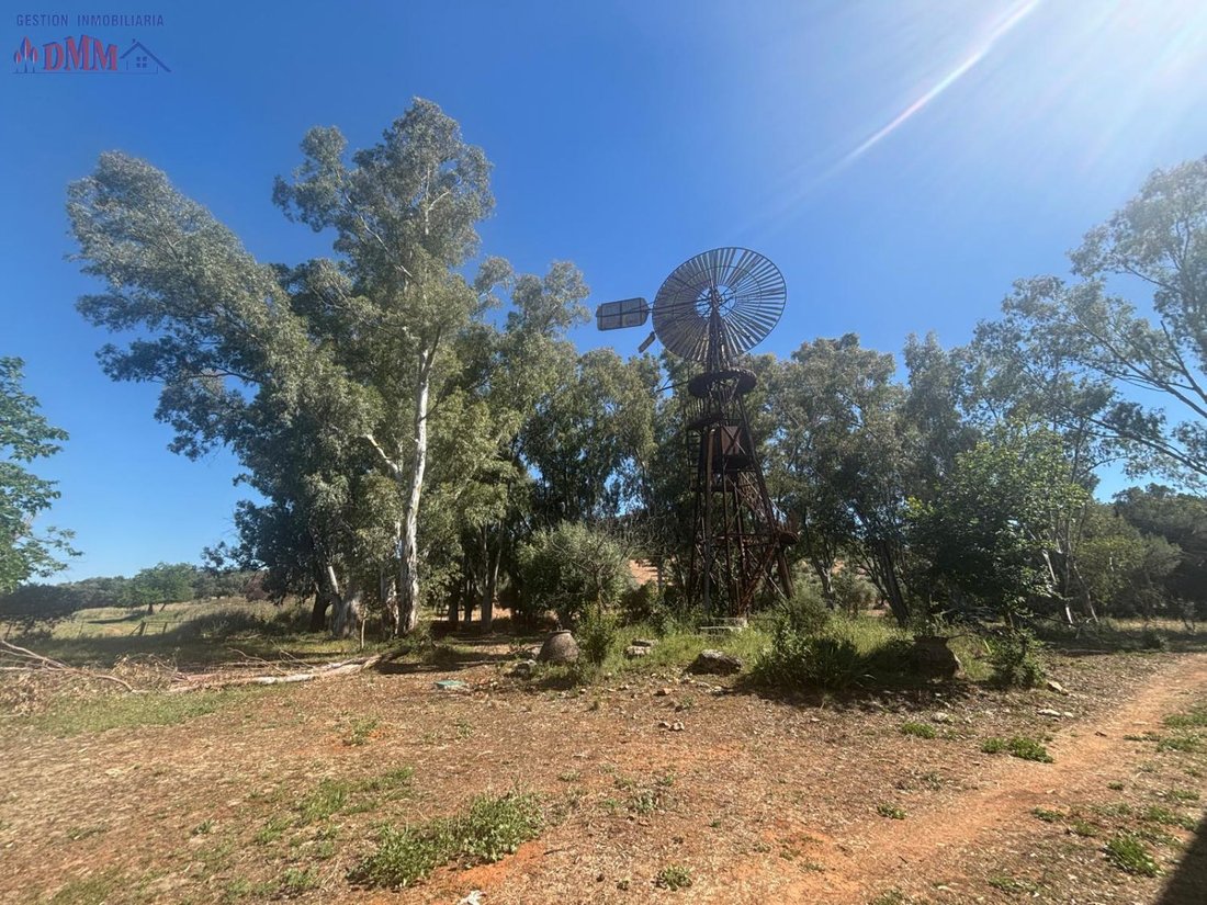 Farm Ranch in Ciudad Real, Castile-La Mancha, Spain 3 - 12836712