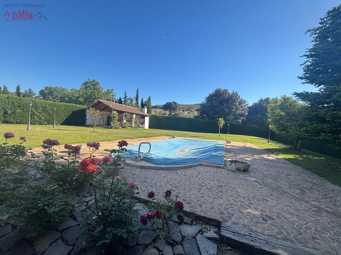 Farm Ranch in Ciudad Real, Castile-La Mancha, Spain 2 - 12836424