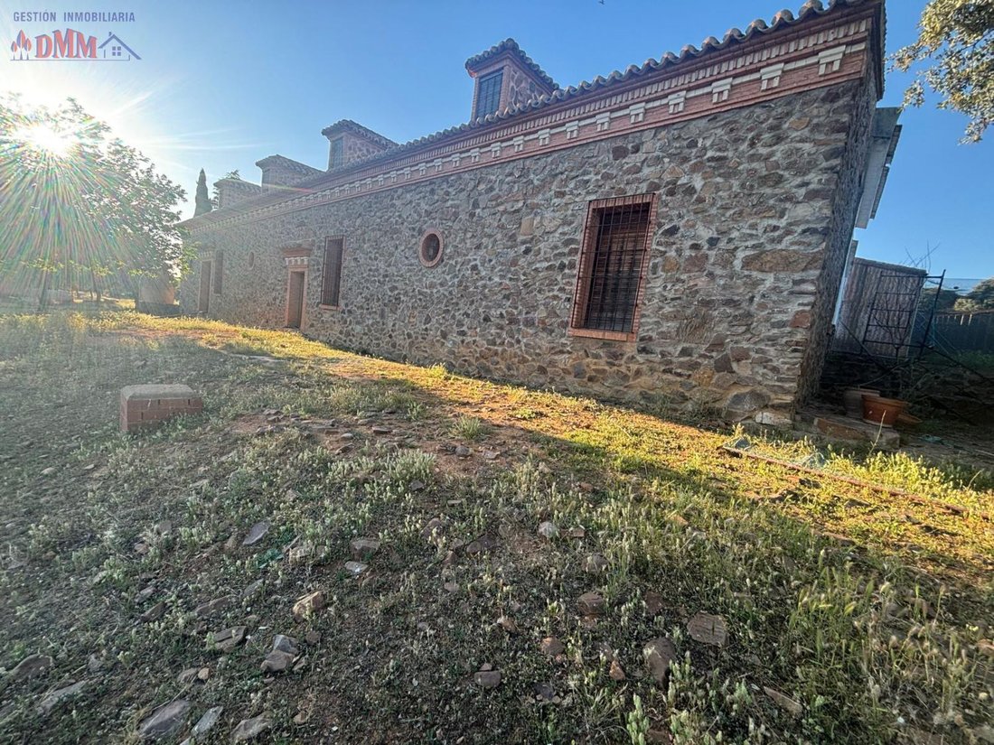 Farm Ranch in Ciudad Real, Castile-La Mancha, Spain 2 - 12836385