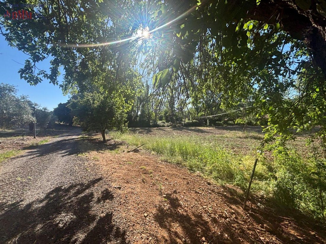 Farm Ranch in Ciudad Real, Castile-La Mancha, Spain 1 - 12836712