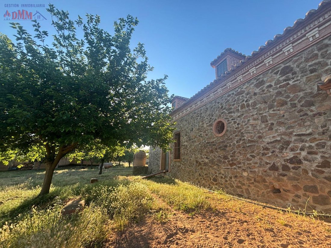 Farm Ranch in Ciudad Real, Castile-La Mancha, Spain 3 - 12836385