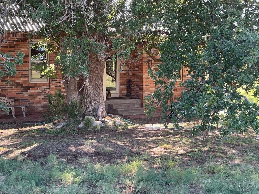 House in Midland, Texas, United States 1 - 17549033