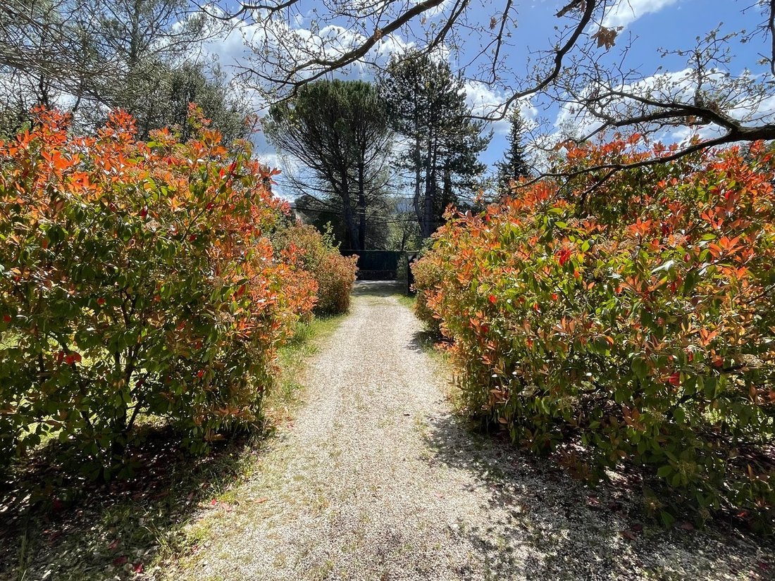 House in Nans-les-Pins, Provence-Alpes-Côte d'Azur, France 2 - 18026568