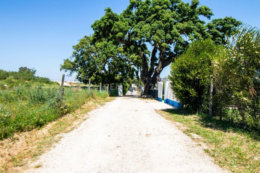 Farm Ranch in Moita, Setubal, Portugal 5 - 18030364