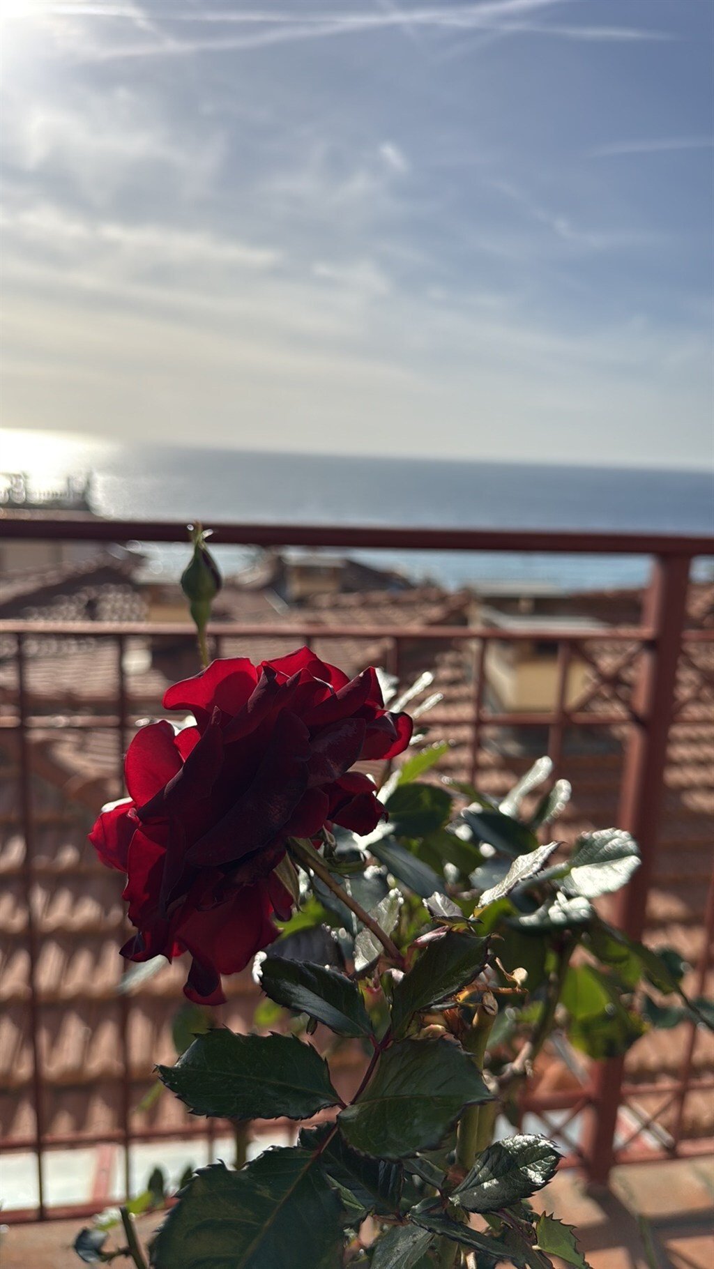 Apartment in Marconi - Porrine, Ospedaletti, Liguria 5 - 17425382