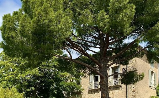 Maison à Neffiès, Occitanie, France 1
